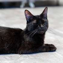 Thumbnail photo of Eve #4