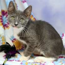 Thumbnail photo of Winslow #3