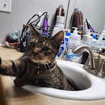 Thumbnail photo of Randy #2