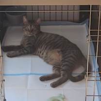 Thumbnail photo of Randy #3