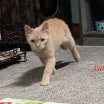 Thumbnail photo of Agnes #3