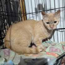 Thumbnail photo of Agnes #4