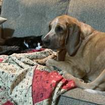 Thumbnail photo of Mona #4