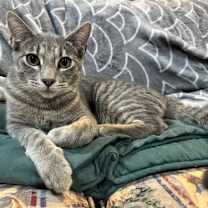 Thumbnail photo of Matthew McConahiss #1