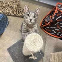 Thumbnail photo of Matthew McConahiss #3