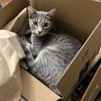 Thumbnail photo of Matthew McConahiss #4