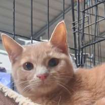 Thumbnail photo of Hugh #1