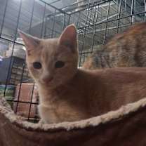 Thumbnail photo of Hugh #2