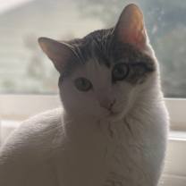 Thumbnail photo of Lilly #1