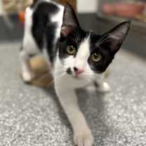 Thumbnail photo of Mobile #2