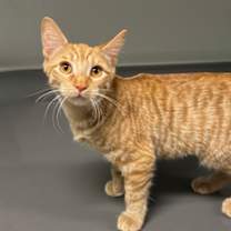 Thumbnail photo of Tuscaloosa #3