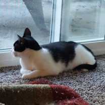 Thumbnail photo of Fauna #4