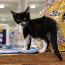 Thumbnail photo of Lyla #2