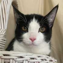 Thumbnail photo of Esther #1