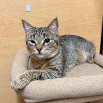 Thumbnail photo of Jules  #4