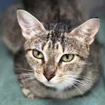 Thumbnail photo of Rowan #1