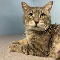 Thumbnail photo of Monroe #1