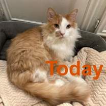 Thumbnail photo of Tony #1