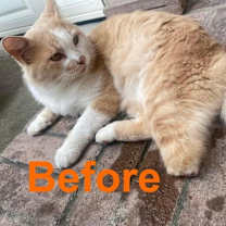 Thumbnail photo of Tony #2