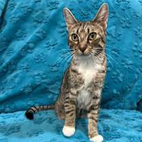 Thumbnail photo of Alan #2