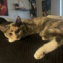 Thumbnail photo of Clare #1