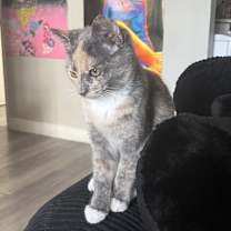 Thumbnail photo of Clare #3