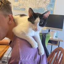 Thumbnail photo of Carl-Foster #1