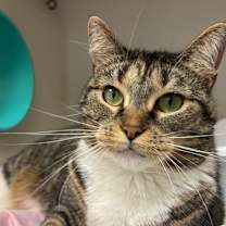 Thumbnail photo of Pretty Girl #1