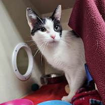 Thumbnail photo of Carl-Foster #2