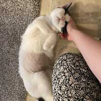 Thumbnail photo of Carl-Foster #3