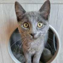 Thumbnail photo of Ellie #1