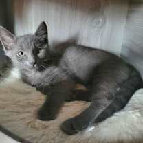 Thumbnail photo of Ellie #2