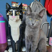 Thumbnail photo of Ellie #3