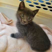 Thumbnail photo of Ellie #4