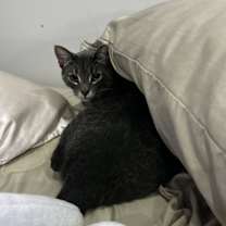 Thumbnail photo of Storm #3