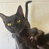 Thumbnail photo of Gloria #1