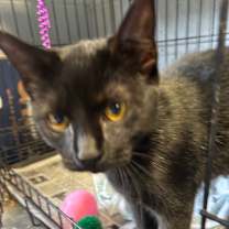 Thumbnail photo of Gloria #2