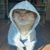 Thumbnail photo of Shaker #2