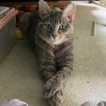 Thumbnail photo of Betty "Boo"  #1