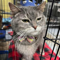 Thumbnail photo of Grace #1