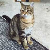 Thumbnail photo of Honeybun #3