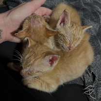 Thumbnail photo of Jane #3