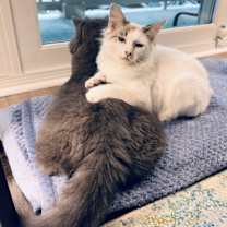 Thumbnail photo of Brandy #2