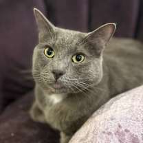 Thumbnail photo of Christian Gray #1