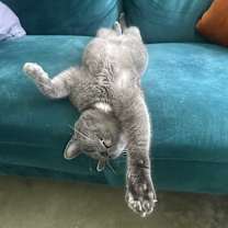 Thumbnail photo of Christian Gray #3