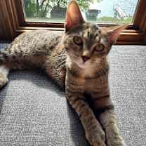 Thumbnail photo of Quarry #1