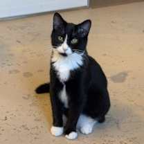 Thumbnail photo of Lucy #2