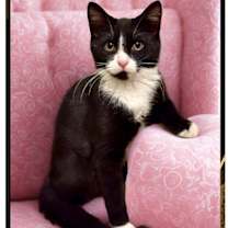 Thumbnail photo of Lucy #3