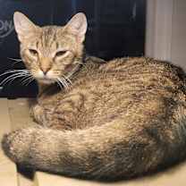 Thumbnail photo of Benny #2