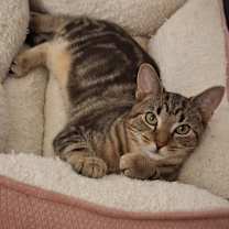 Thumbnail photo of Tucker #1